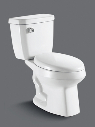 Bathroom Ceramic Sanitaryware Two-piece Siphinc Flushing Toilet for North Amercia Market