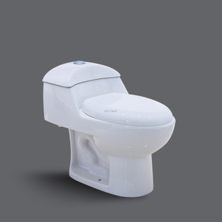 Classic Style Hot Sale Demanded Cheap Price White Ceramic Siphonic One-Piece Toilet