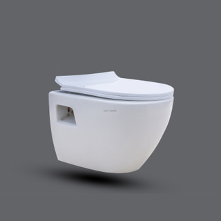 Washdown Wall-Hung Bathroom Cistern Hidden Sanitary Ware Ceramic Toilet