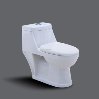 Classic Style Bathroom Sanitaryware Ceramic One-piece Toilet S-trap 250 Washdown for Middle East Market