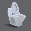 South America Market Hot Selling Design Classic Style Bathroom Sanitary Ware One-Piece S-Trap Siphonic Toilet 